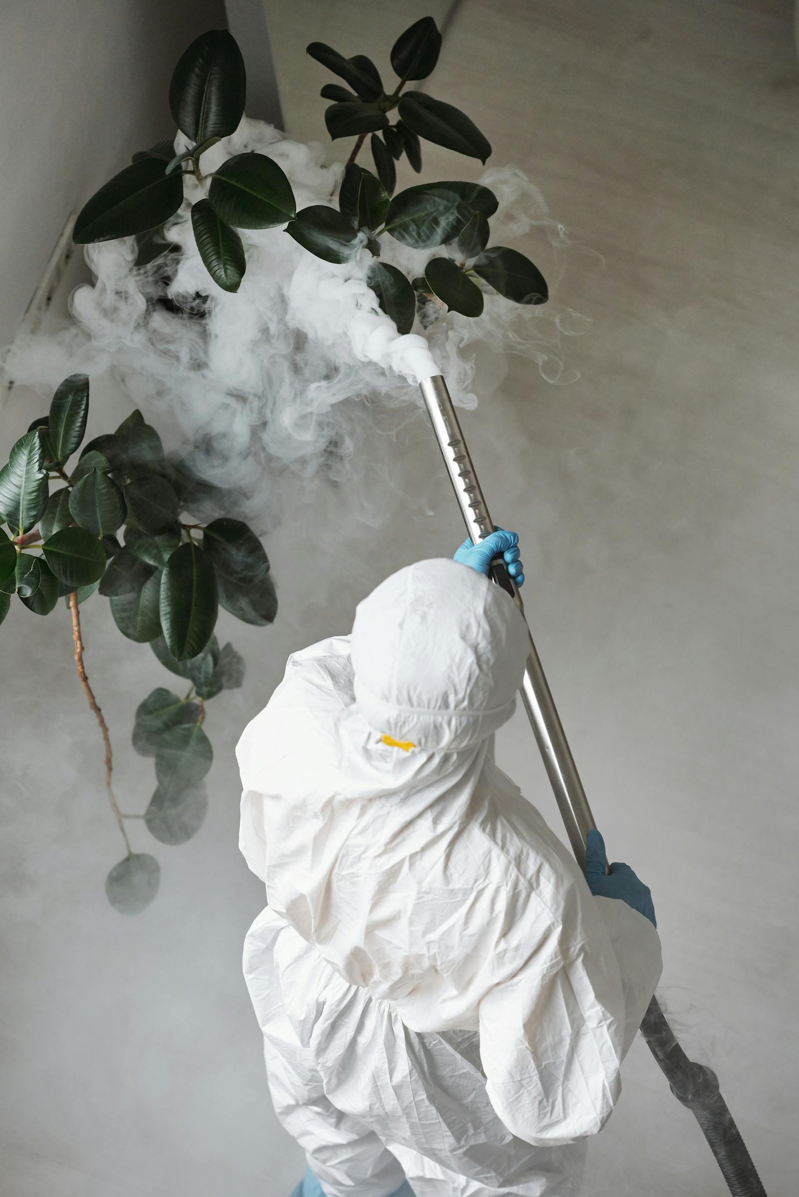 Pest Control